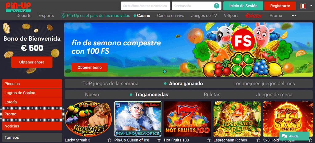 Pin-Up Online Casino: Video Game Choice and Software Application